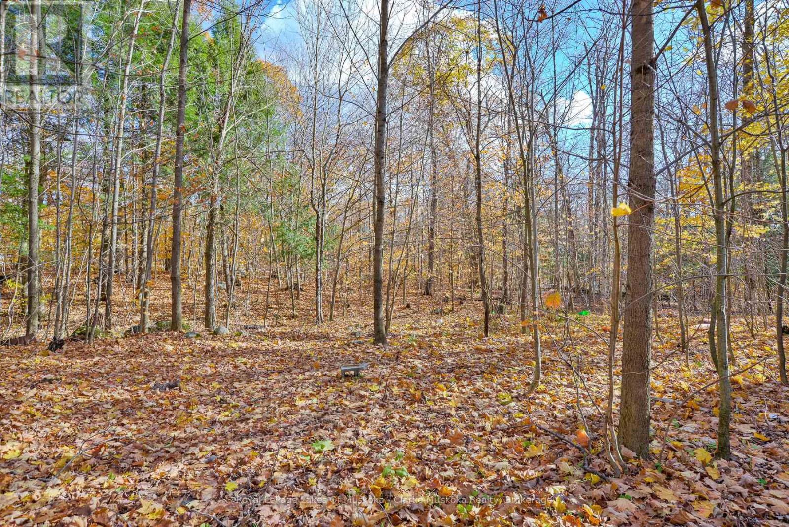 2026 Peninsula Road, Muskoka Lakes, Ontario  P0B 1G0 - Photo 14 - X12513288