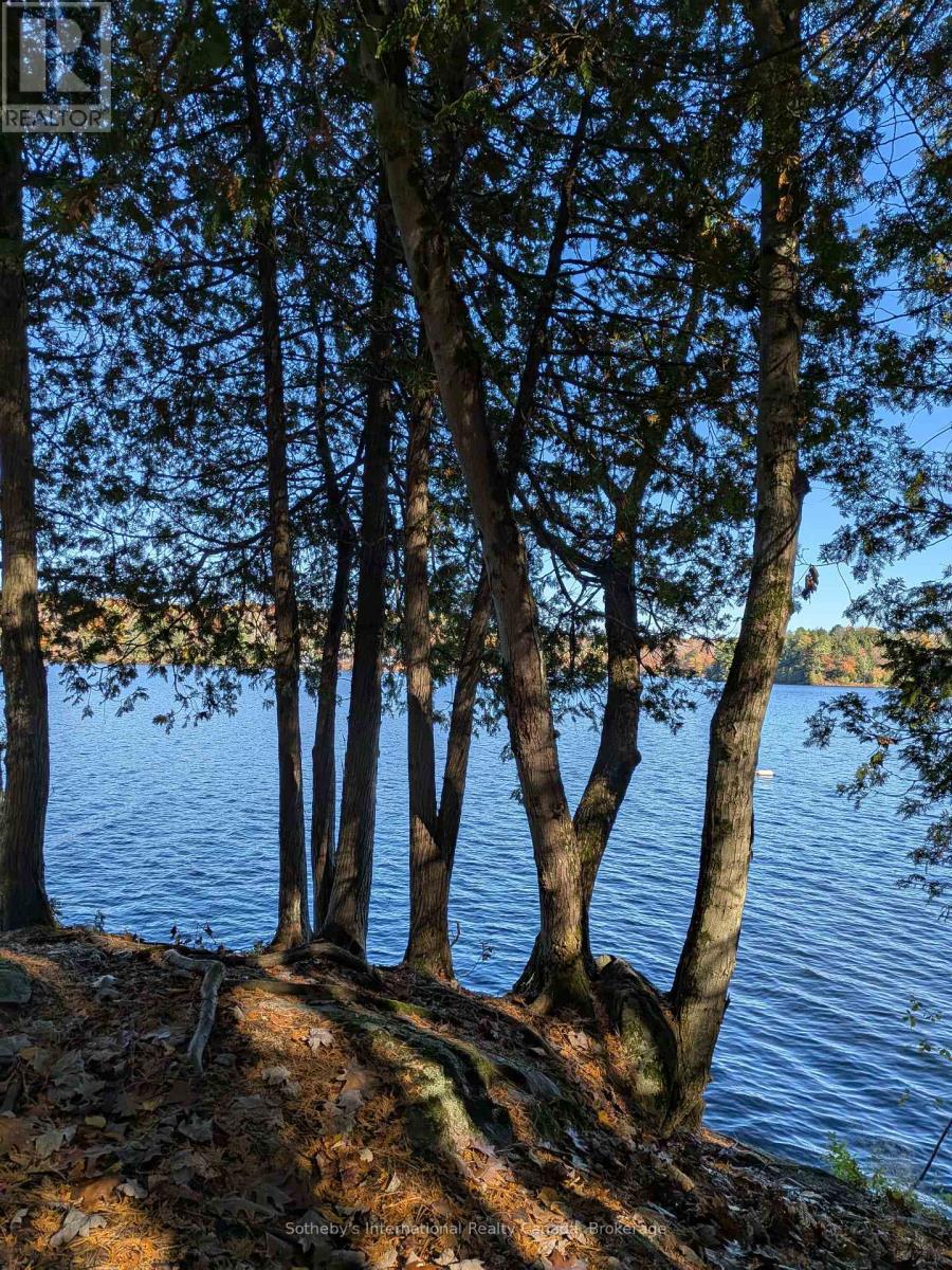 1063 Whiteside Road, Muskoka Lakes, Ontario  P0B 1J0 - Photo 37 - X12513662