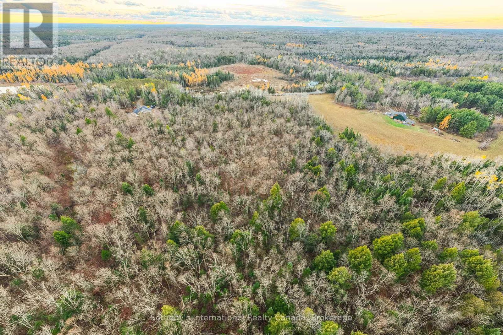 0 Barkway Road, Gravenhurst, Ontario  P1P 1R3 - Photo 9 - X12514490