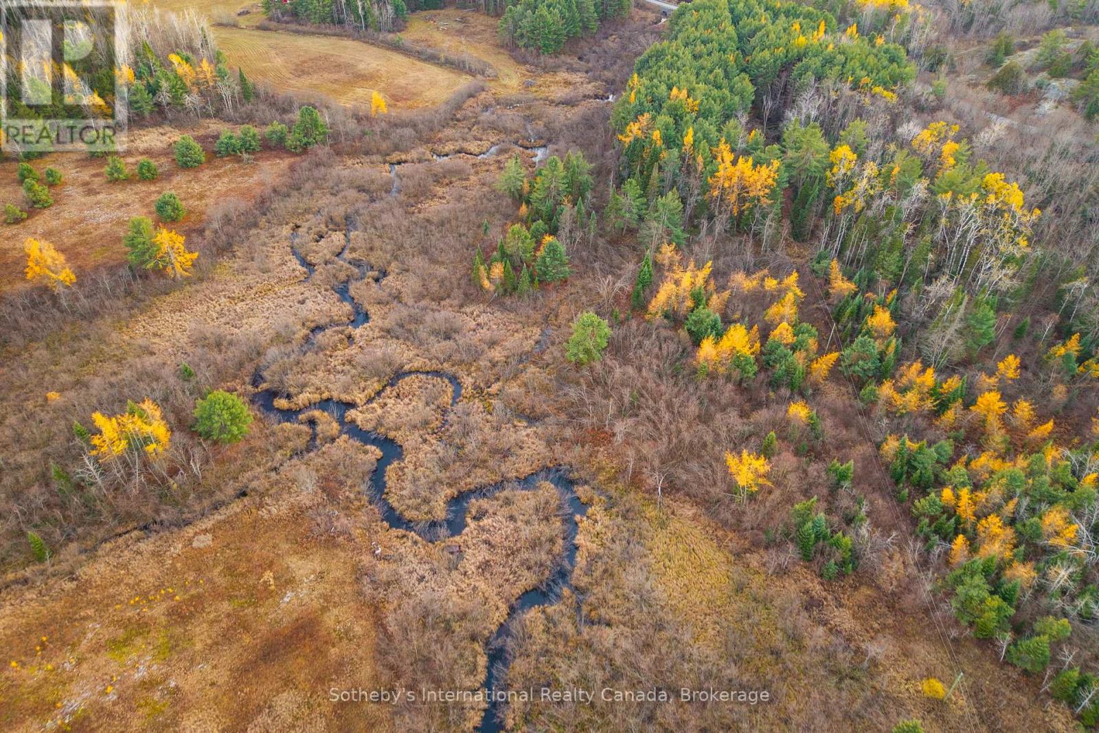 00 Barkway Road, Gravenhurst, Ontario  P1P 1R3 - Photo 9 - X12514506