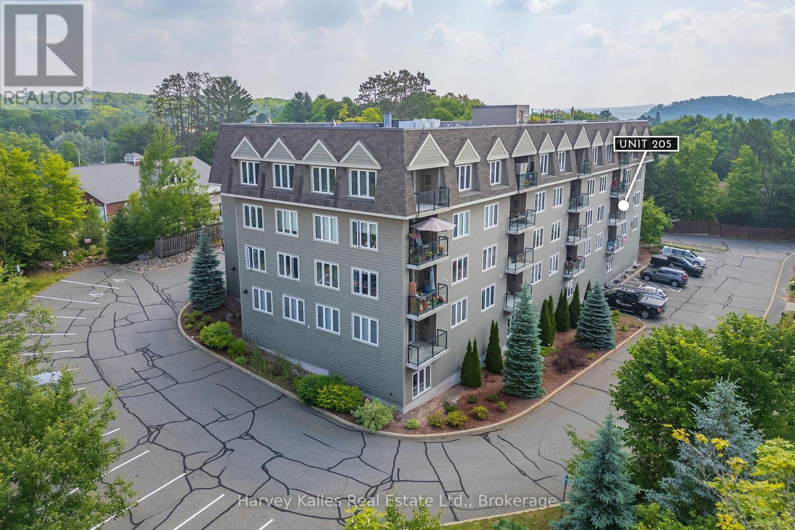 205 - 26 Dairy Lane, Huntsville, Ontario  P1H 0A4 - Photo 1 - X12515938