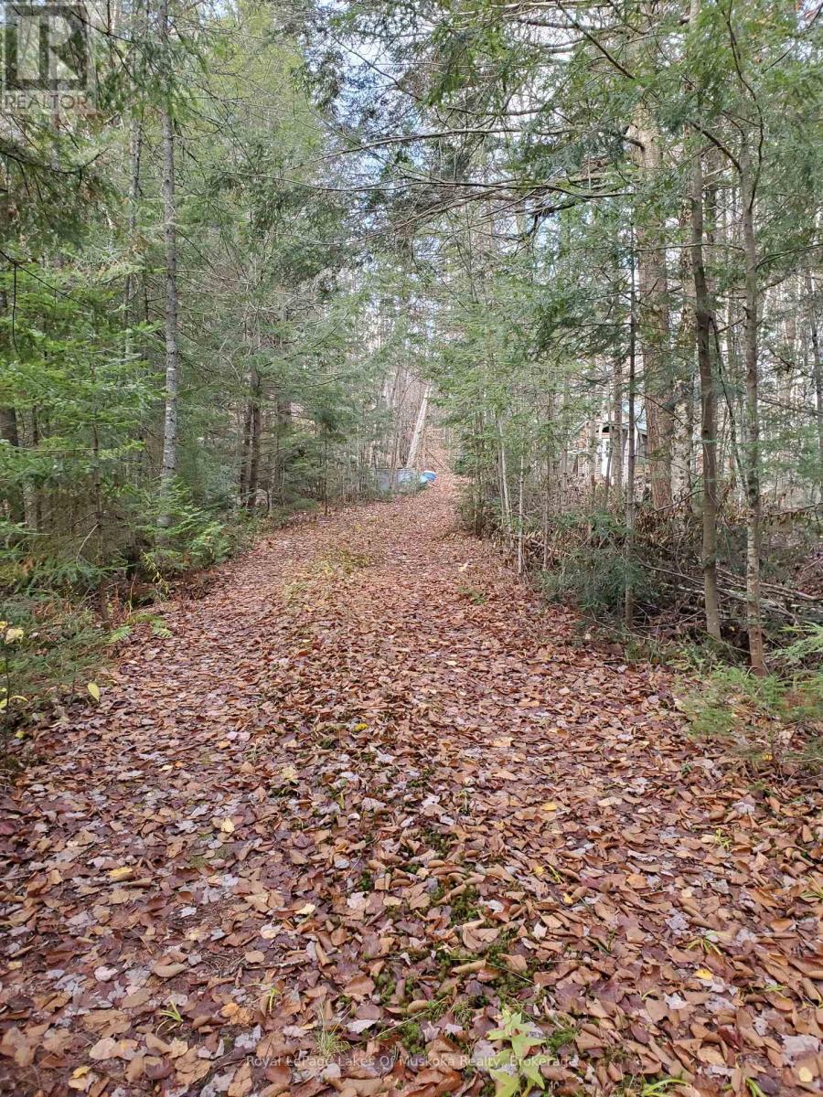 00000 Ril Lake Road, Lake Of Bays, Ontario  P0B 1A0 - Photo 1 - X12518148