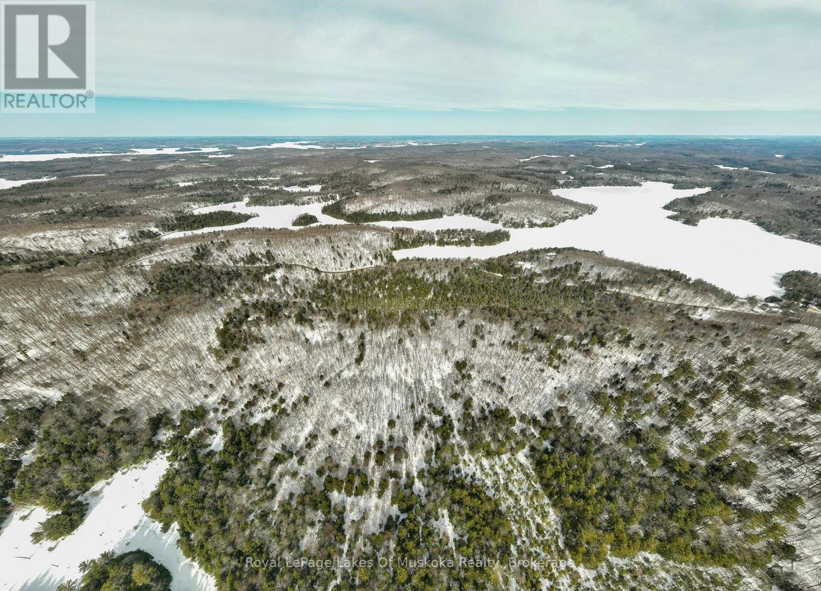 00000 Ril Lake Road, Lake Of Bays, Ontario  P0B 1A0 - Photo 10 - X12518148