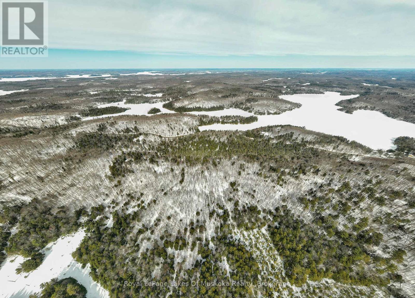 00000 Ril Lake Road, Lake Of Bays, Ontario  P0B 1A0 - Photo 6 - X12518148