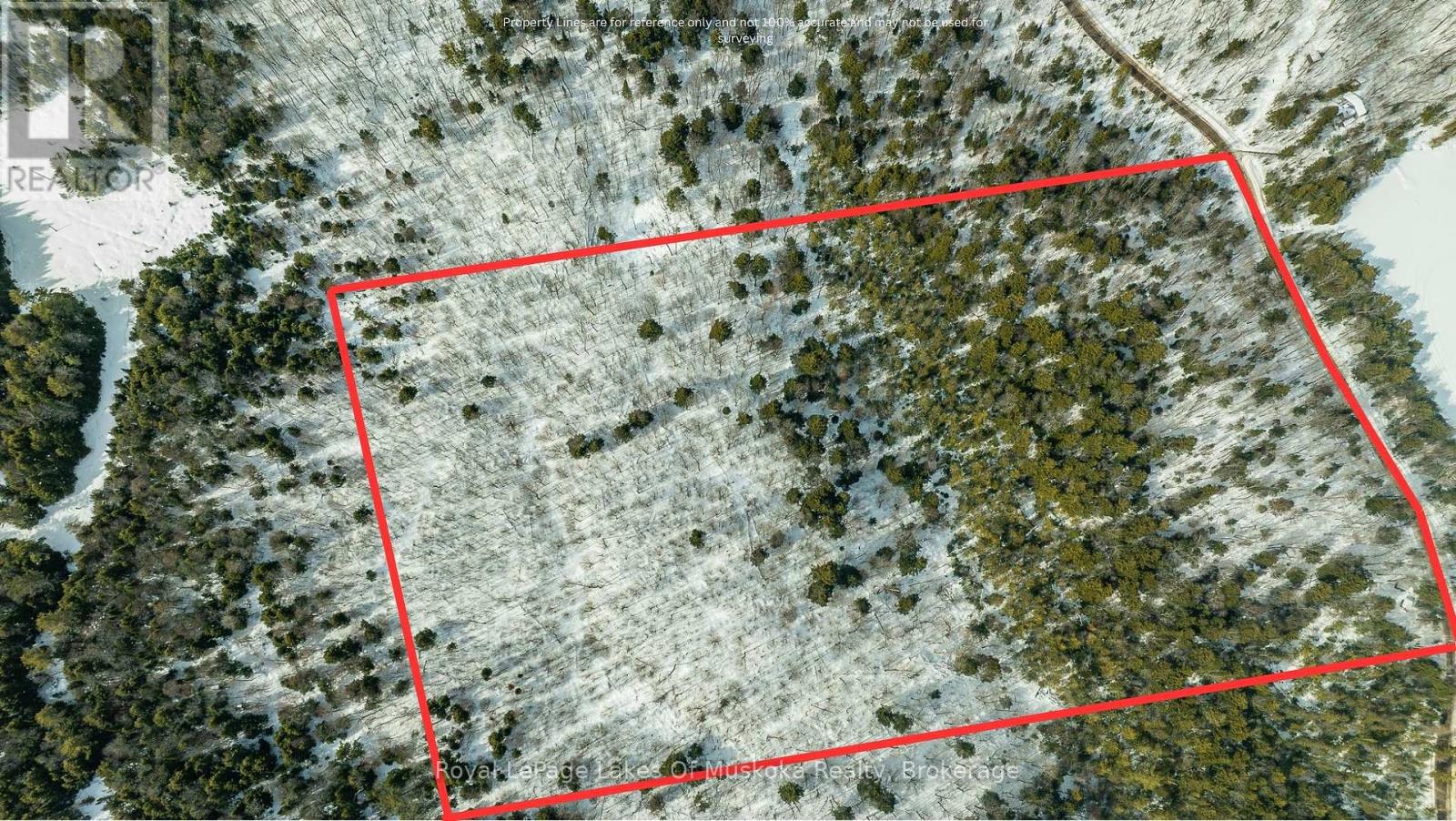 00000 Ril Lake Road, Lake Of Bays, Ontario  P0B 1A0 - Photo 8 - X12518148