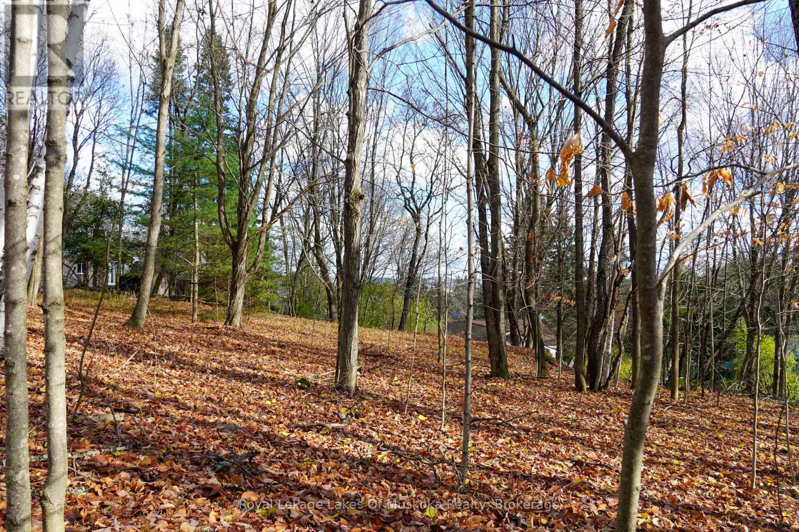 8 Rice Lane, Huntsville, Ontario  P1H 1V4 - Photo 1 - X12523984