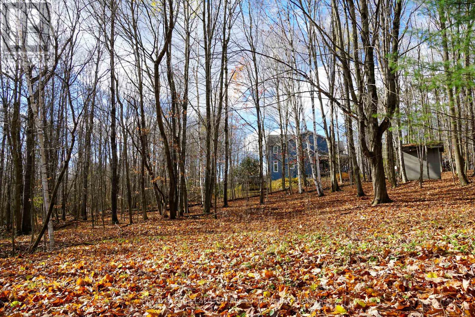 8 Rice Lane, Huntsville, Ontario  P1H 1V4 - Photo 3 - X12523984