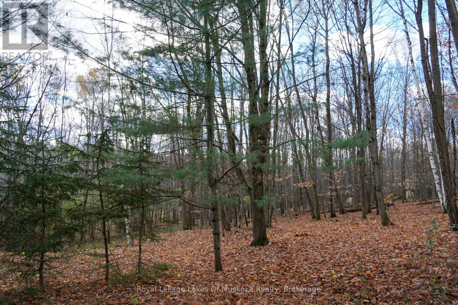 8 Rice Lane, Huntsville, Ontario  P1H 1V4 - Photo 5 - X12523984