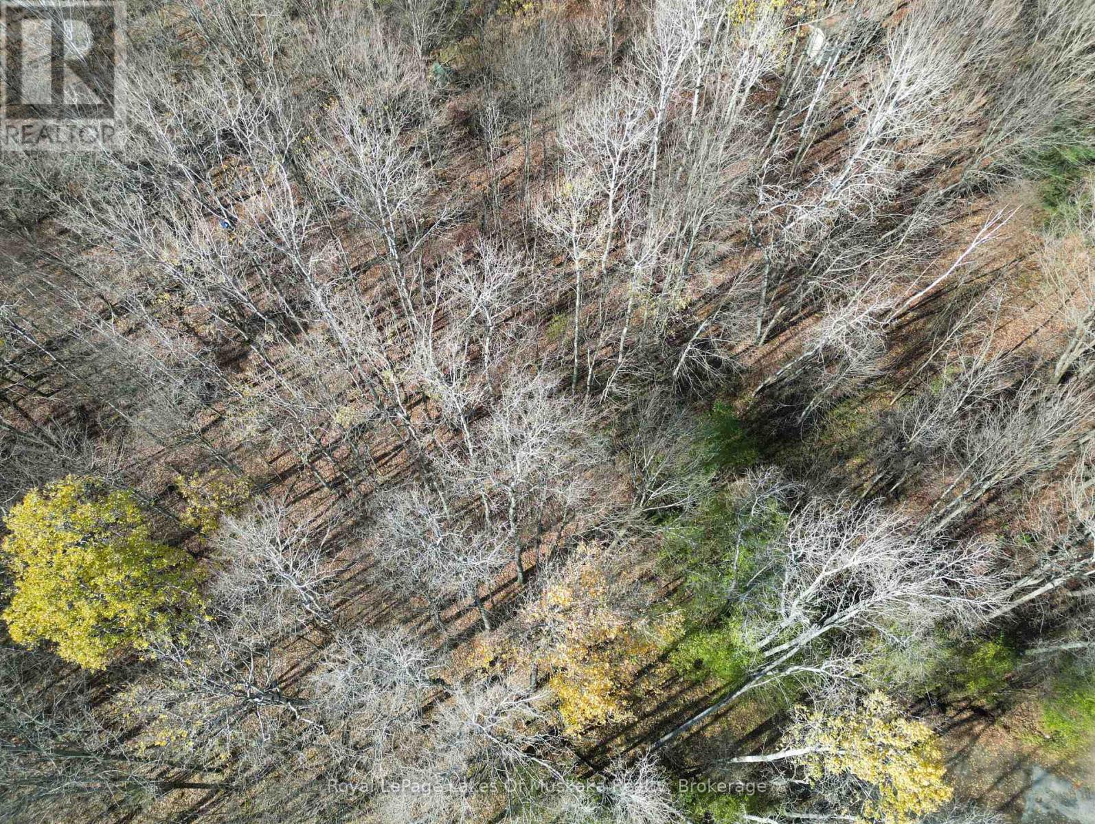 8 Rice Lane, Huntsville, Ontario  P1H 1V4 - Photo 7 - X12523984