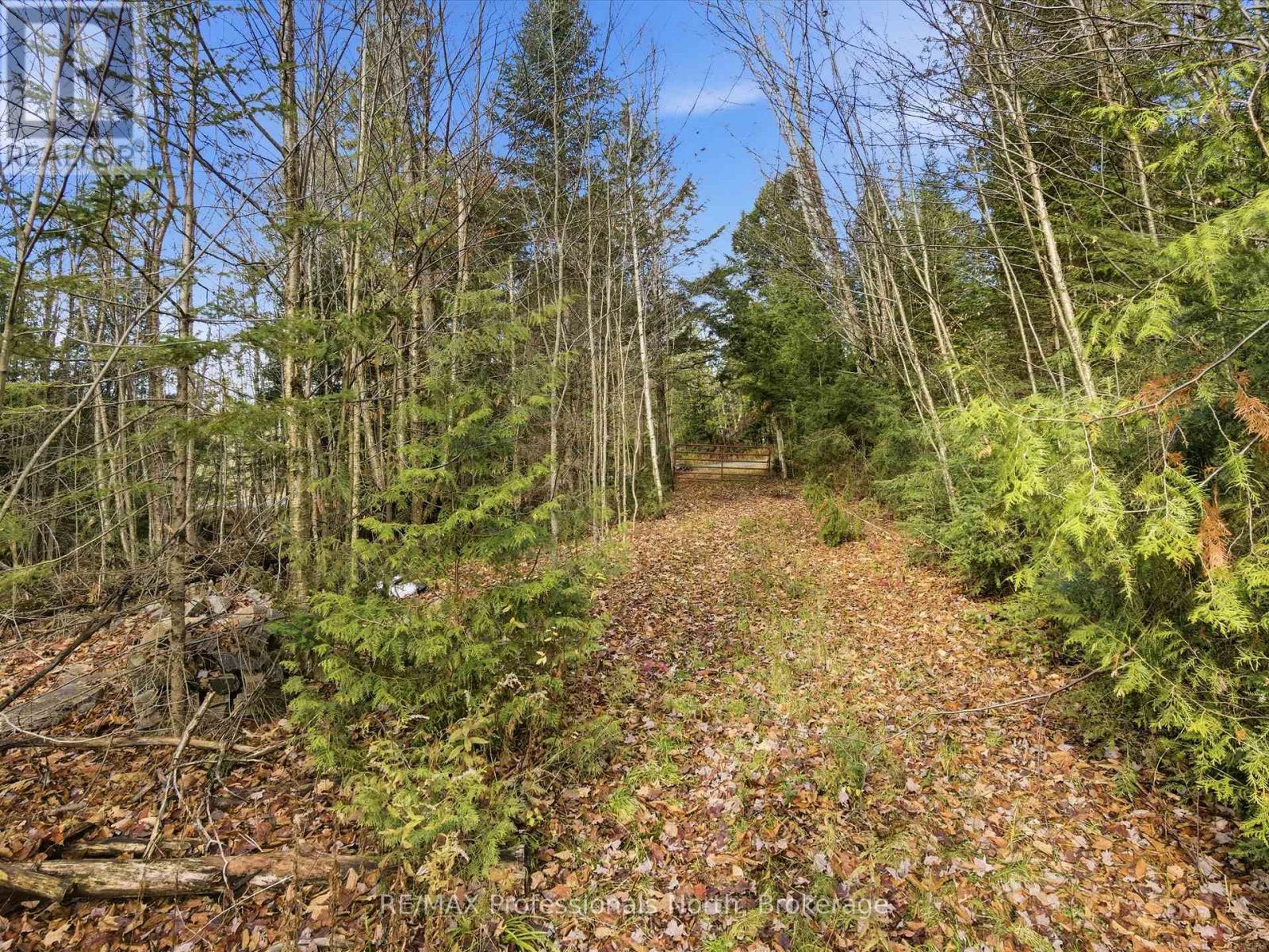 1087 Stephenson 2 Road W, Huntsville, Ontario  P0B 1M0 - Photo 10 - X12524206