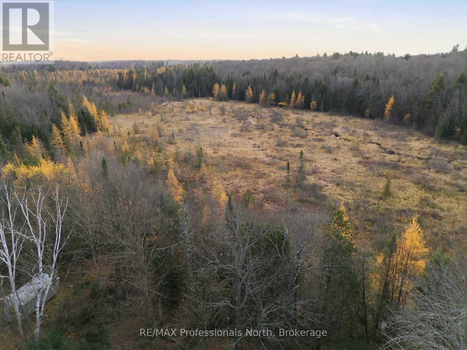 1087 Stephenson 2 Road W, Huntsville, Ontario  P0B 1M0 - Photo 12 - X12524206