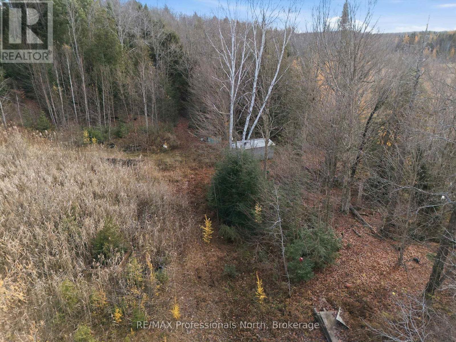 1087 Stephenson 2 Road W, Huntsville, Ontario  P0B 1M0 - Photo 13 - X12524206