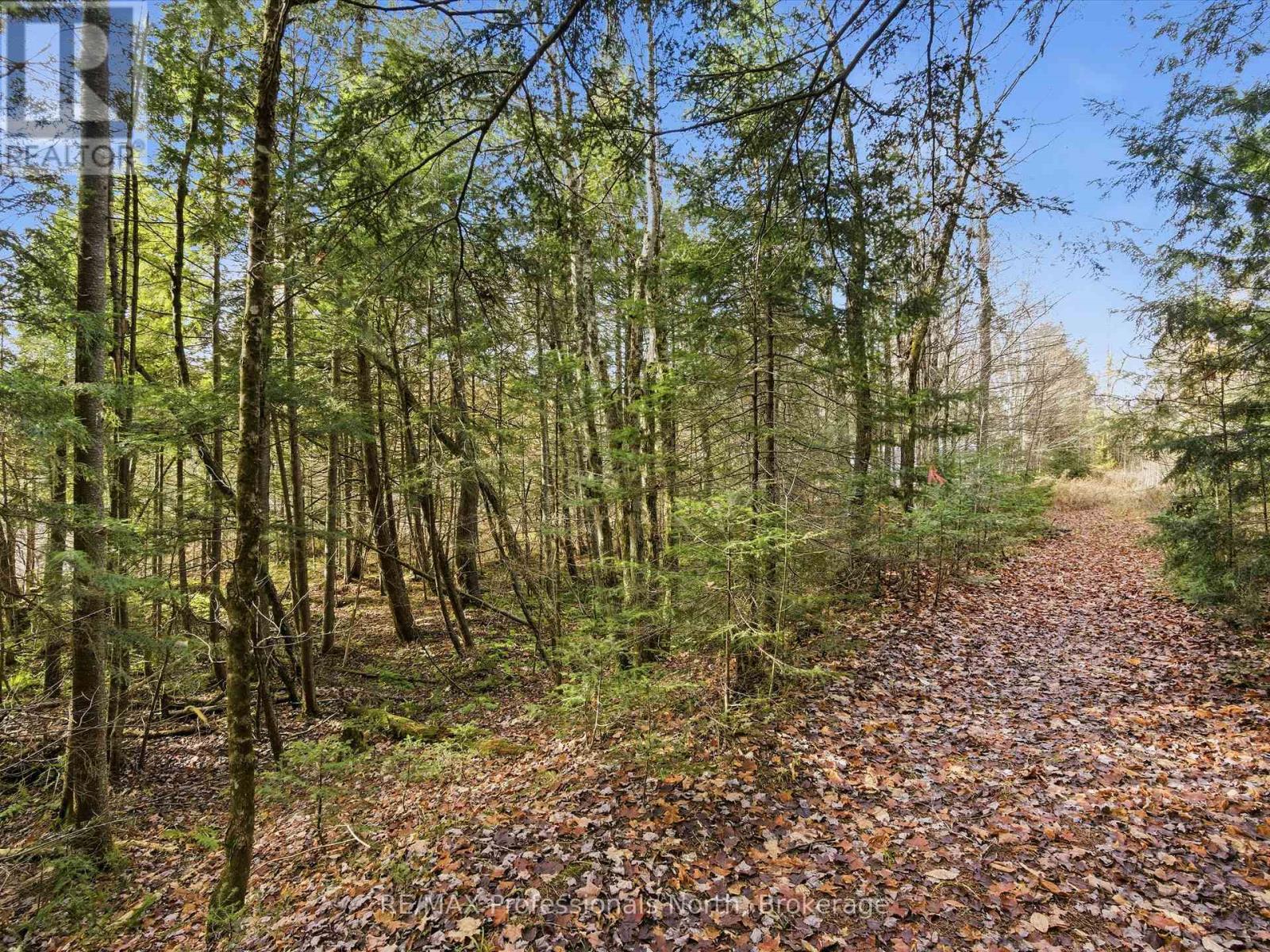 1087 Stephenson 2 Road W, Huntsville, Ontario  P0B 1M0 - Photo 2 - X12524206