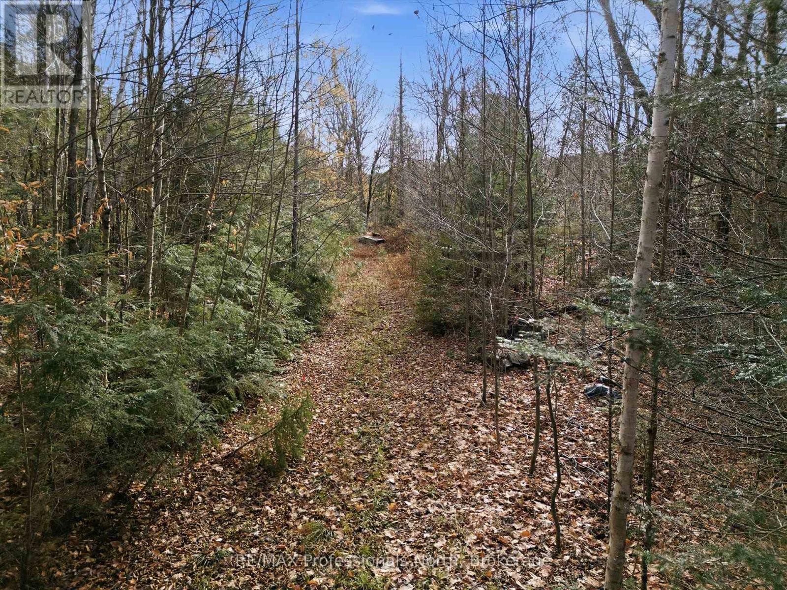 1087 Stephenson 2 Road W, Huntsville, Ontario  P0B 1M0 - Photo 22 - X12524206