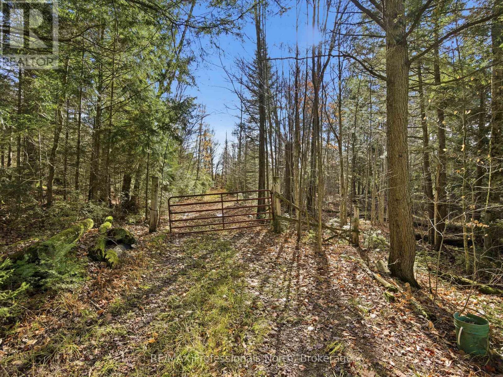 1087 Stephenson 2 Road W, Huntsville, Ontario  P0B 1M0 - Photo 3 - X12524206