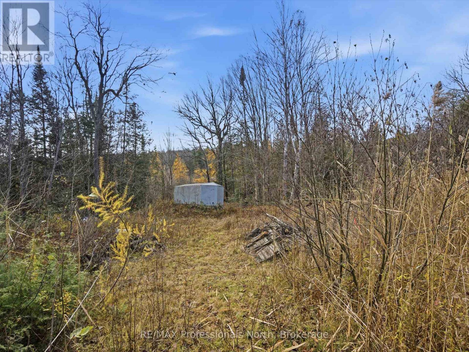 1087 Stephenson 2 Road W, Huntsville, Ontario  P0B 1M0 - Photo 4 - X12524206