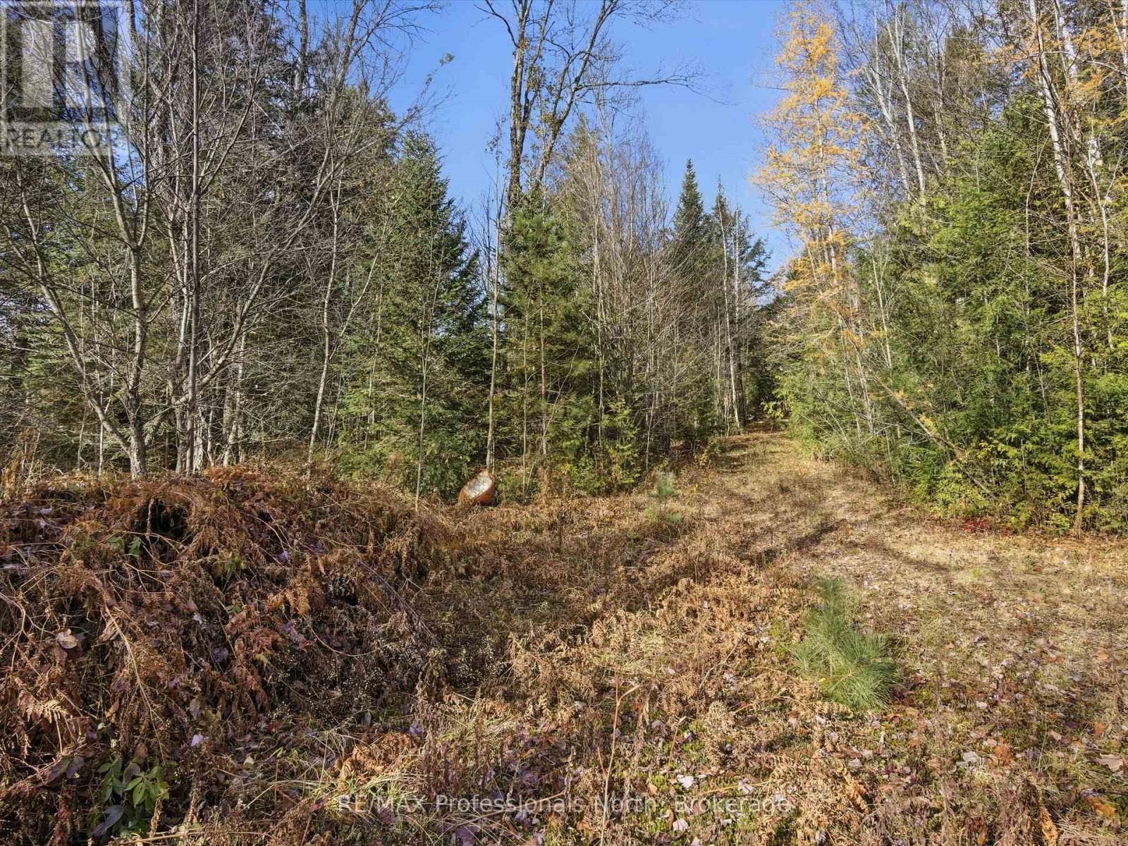 1087 Stephenson 2 Road W, Huntsville, Ontario  P0B 1M0 - Photo 8 - X12524206