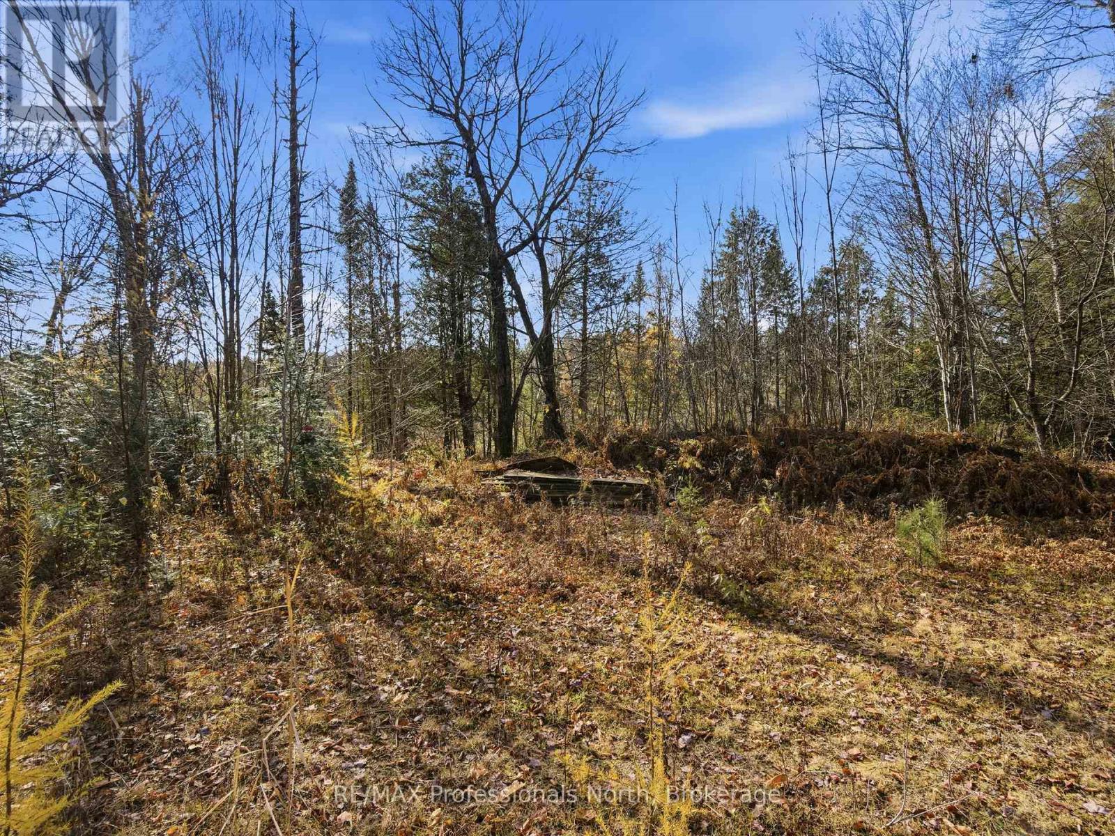 1087 Stephenson 2 Road W, Huntsville, Ontario  P0B 1M0 - Photo 9 - X12524206