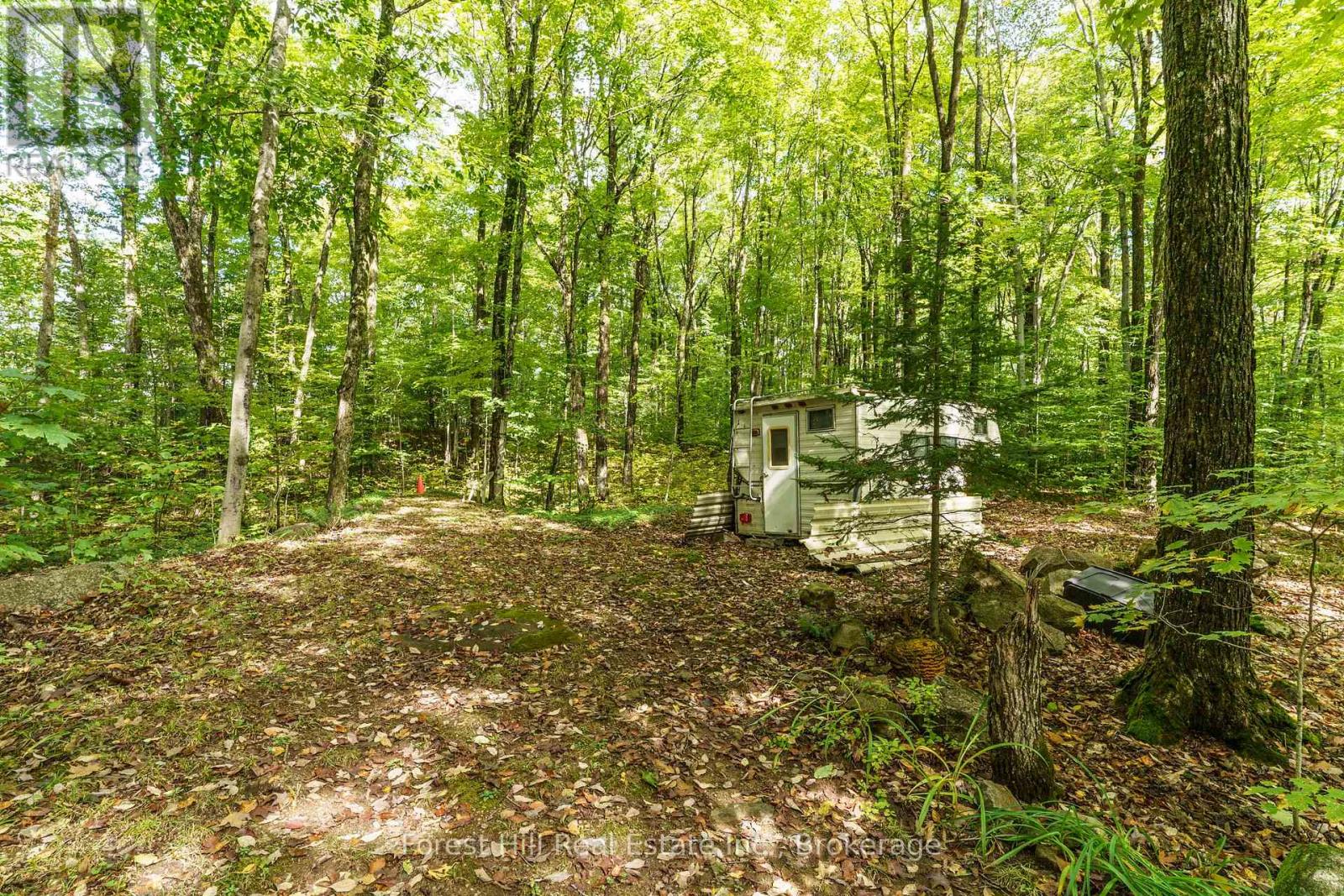 1041 Long Line Lake Road, Lake Of Bays, Ontario  P0A 1E0 - Photo 21 - X12526012