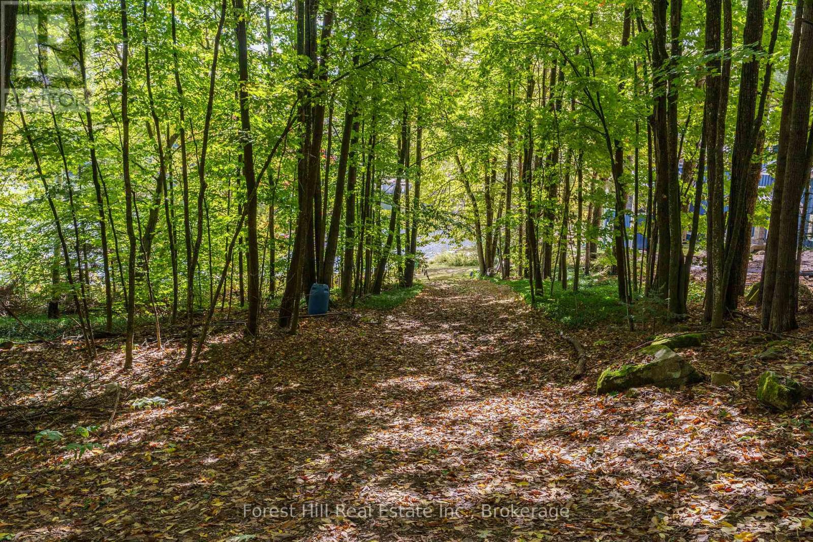1041 Long Line Lake Road, Lake Of Bays, Ontario  P0A 1E0 - Photo 23 - X12526012