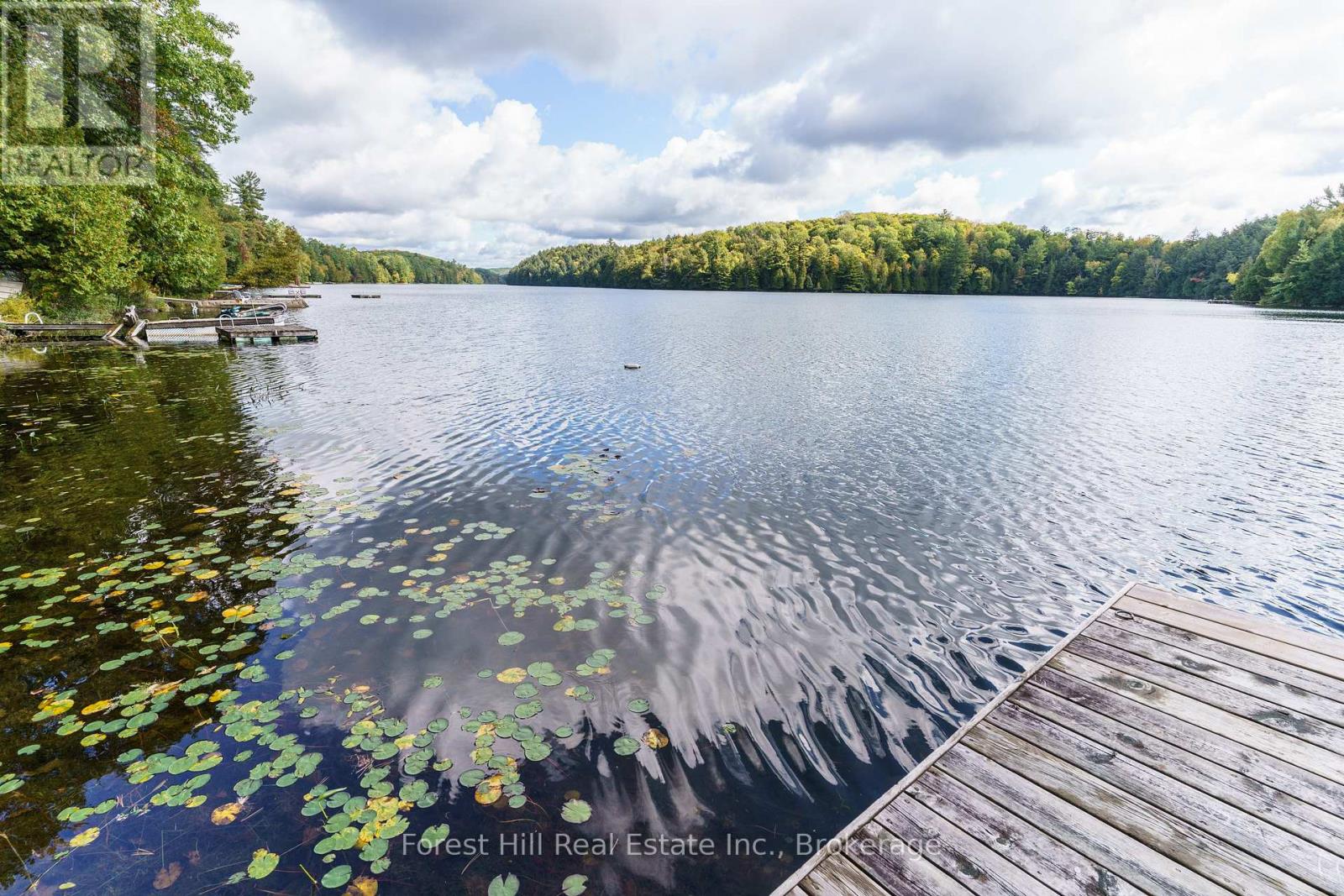 1041 Long Line Lake Road, Lake Of Bays, Ontario  P0A 1E0 - Photo 26 - X12526012