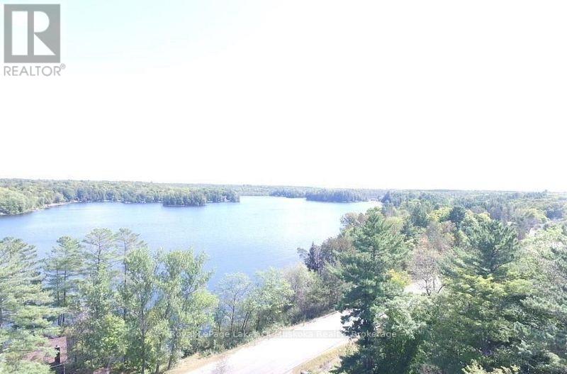 4019 Muskoka 169 Road, Muskoka Lakes, Ontario  P0C 1A0 - Photo 19 - X12534158