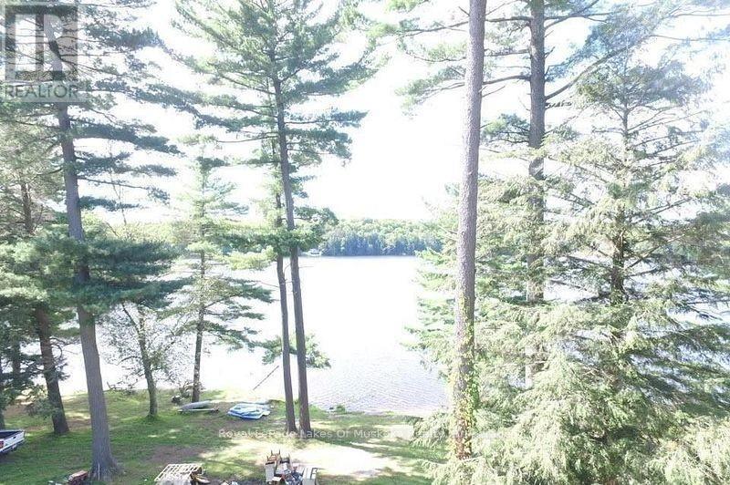 4019 Muskoka 169 Road, Muskoka Lakes, Ontario  P0C 1A0 - Photo 23 - X12534158