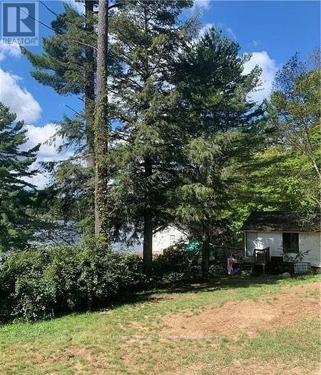4019 Muskoka 169 Road, Muskoka Lakes, Ontario  P0C 1A0 - Photo 28 - X12534158