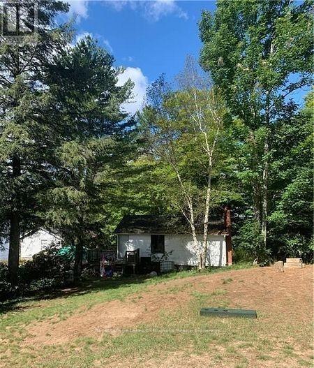 4019 Muskoka 169 Road, Muskoka Lakes, Ontario  P0C 1A0 - Photo 29 - X12534158