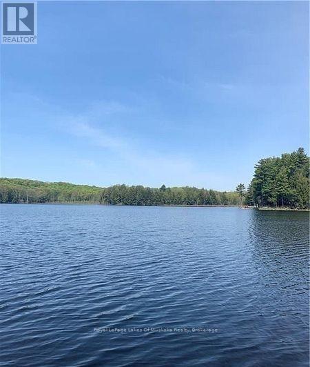 4019 Muskoka 169 Road, Muskoka Lakes, Ontario  P0C 1A0 - Photo 30 - X12534158