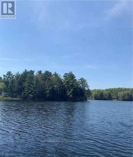 4019 Muskoka 169 Road, Muskoka Lakes, Ontario  P0C 1A0 - Photo 31 - X12534158