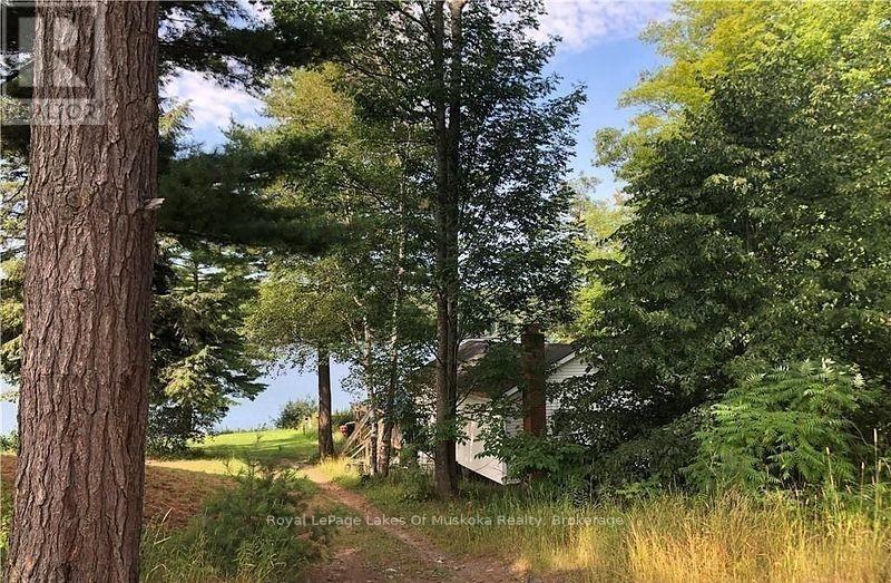 4019 Muskoka 169 Road, Muskoka Lakes, Ontario  P0C 1A0 - Photo 35 - X12534158