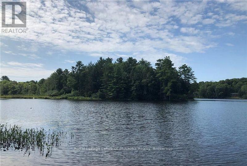 4019 Muskoka 169 Road, Muskoka Lakes, Ontario  P0C 1A0 - Photo 42 - X12534158