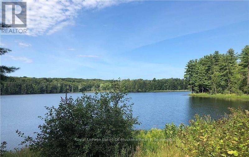 4019 Muskoka 169 Road, Muskoka Lakes, Ontario  P0C 1A0 - Photo 43 - X12534158