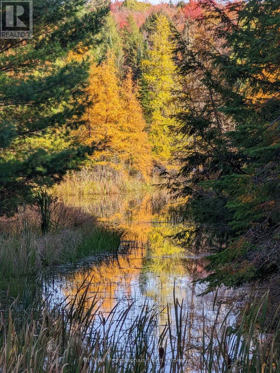 2315 Aspdin Road, Huntsville, Ontario  P0B 1M0 - Photo 38 - X12535840