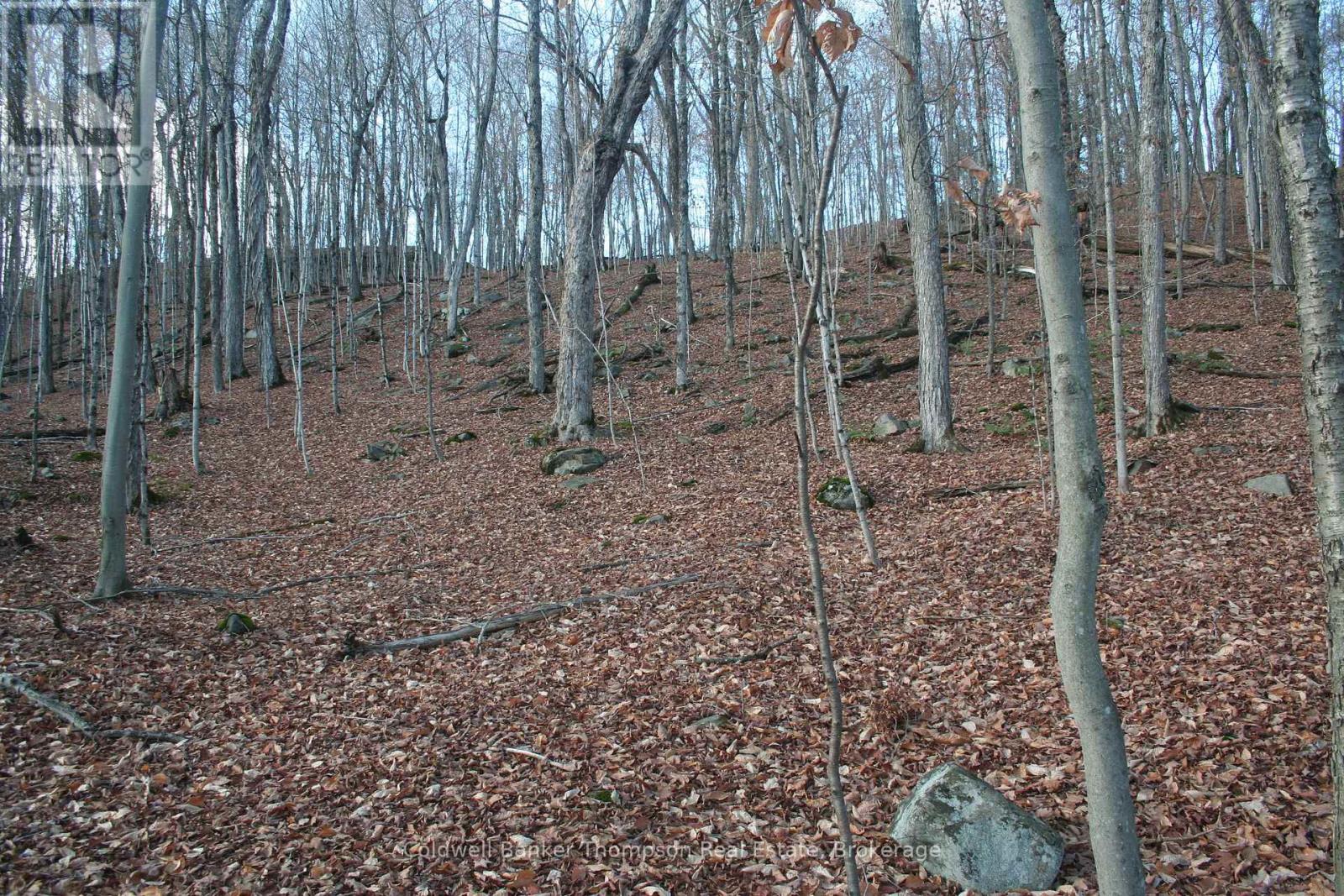 200 Mica Mine Road, Huntsville, Ontario  P1H 1R3 - Photo 10 - X12543072