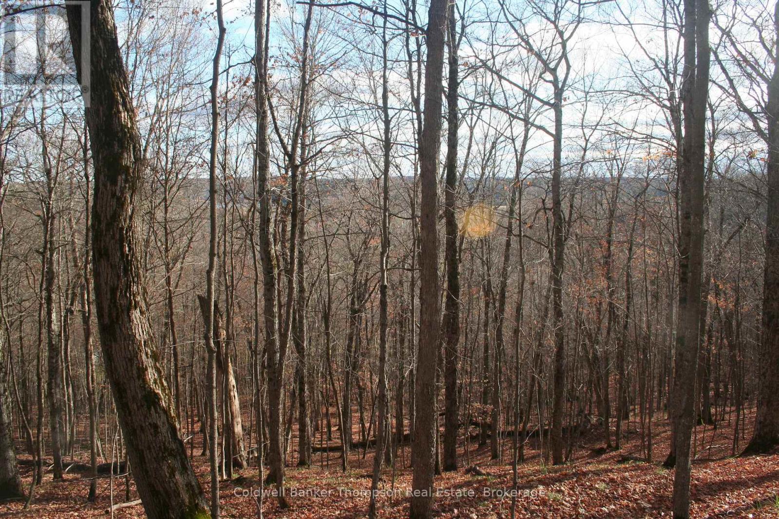 200 Mica Mine Road, Huntsville, Ontario  P1H 1R3 - Photo 11 - X12543072