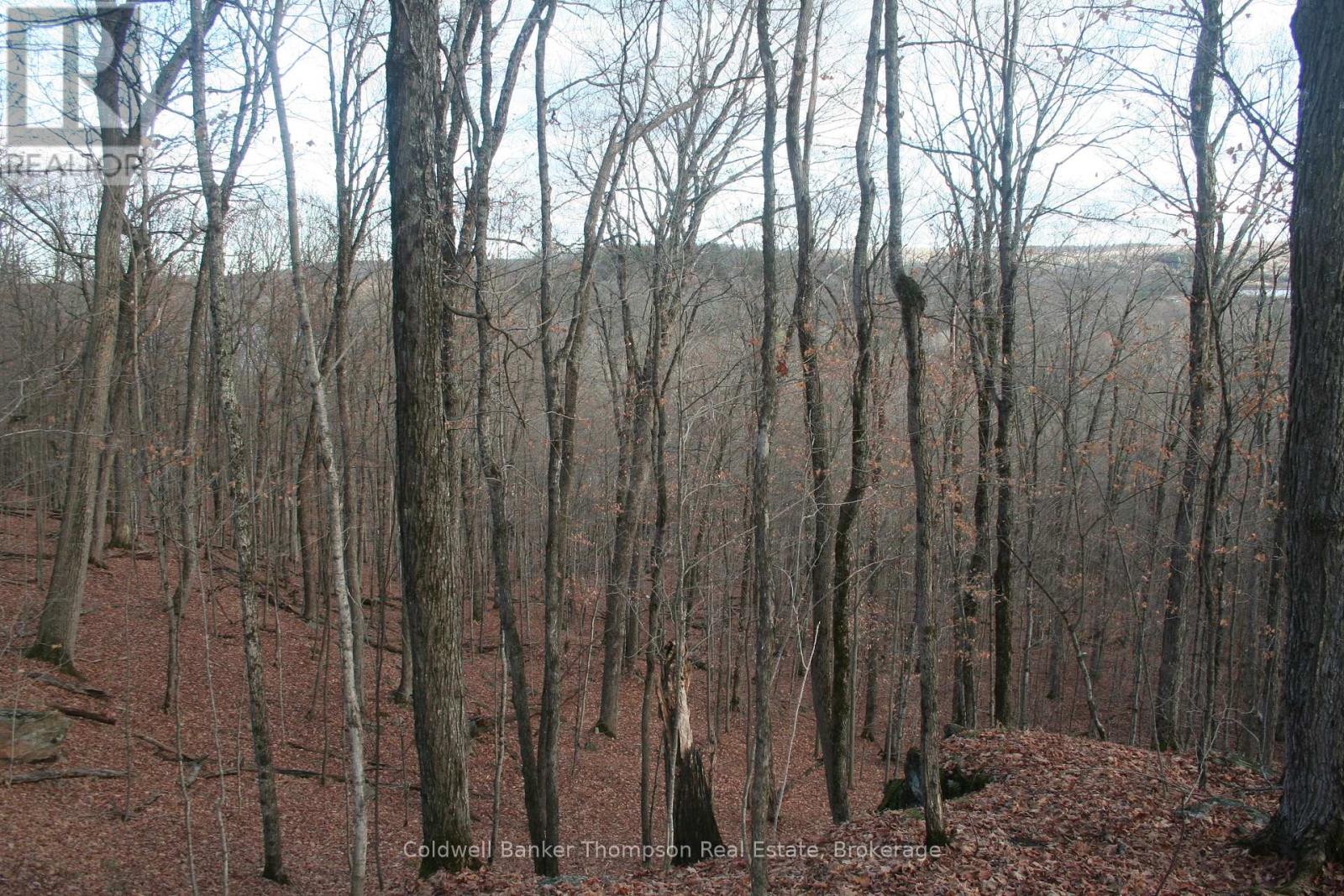 200 Mica Mine Road, Huntsville, Ontario  P1H 1R3 - Photo 12 - X12543072