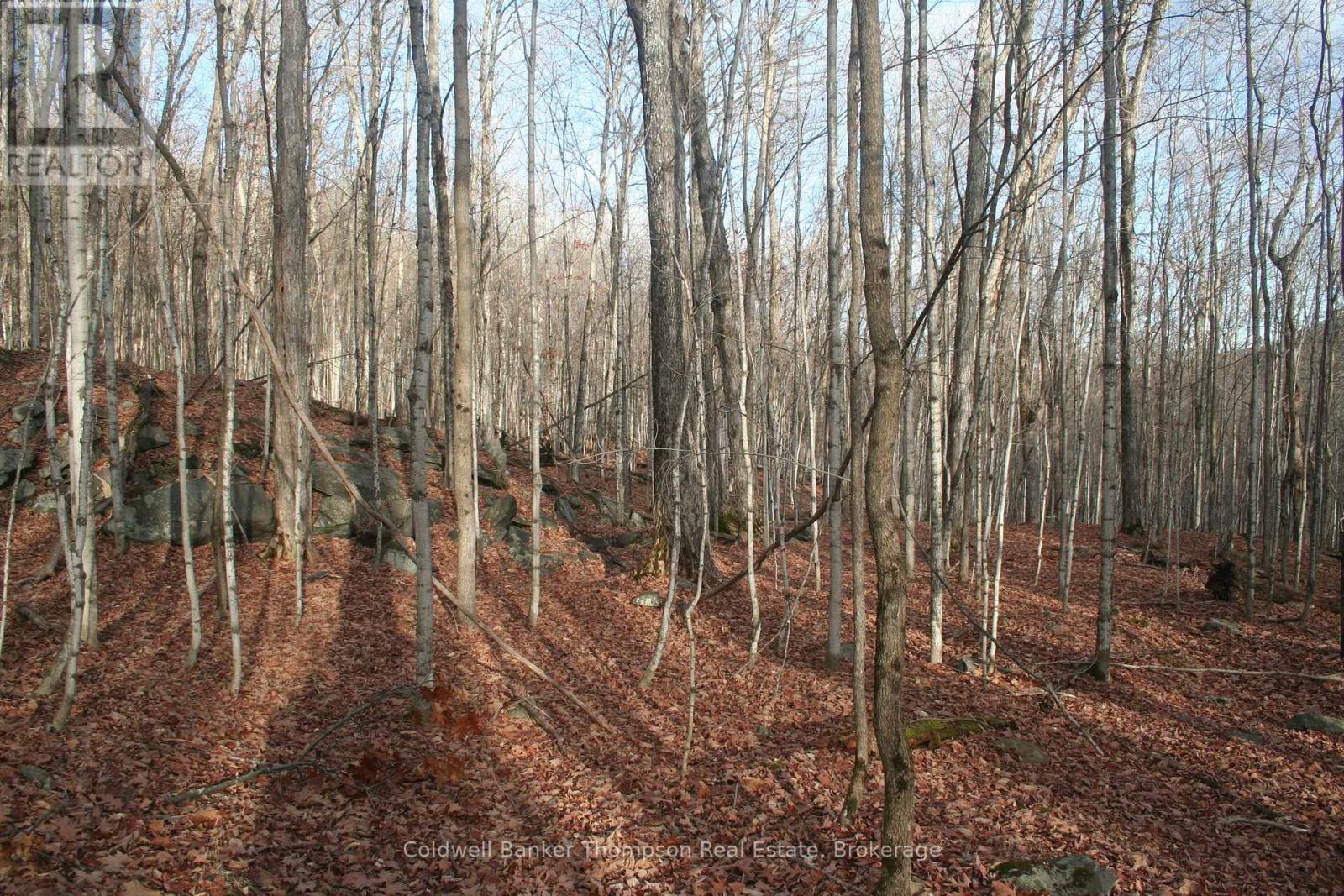 200 Mica Mine Road, Huntsville, Ontario  P1H 1R3 - Photo 13 - X12543072