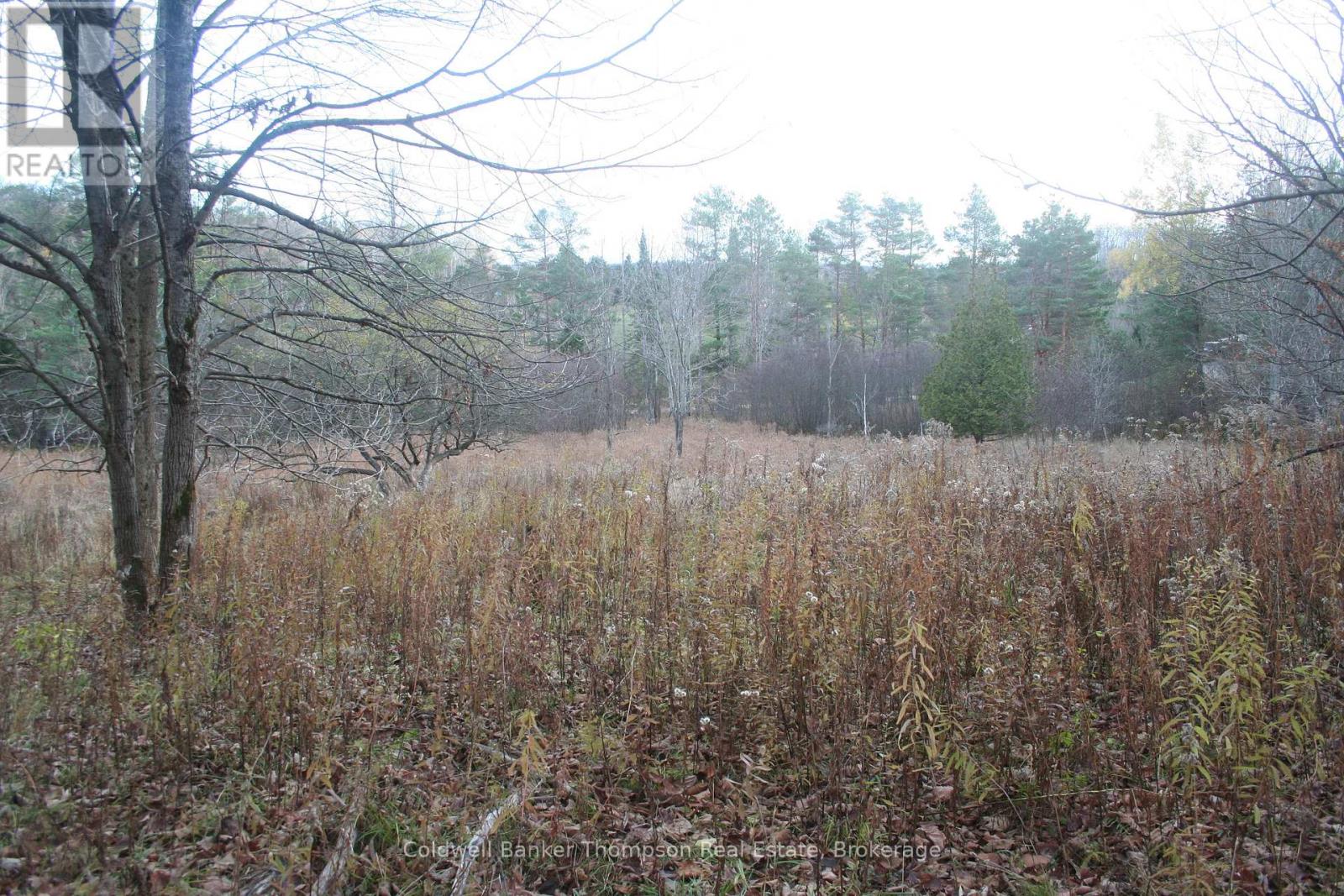 200 Mica Mine Road, Huntsville, Ontario  P1H 1R3 - Photo 5 - X12543072