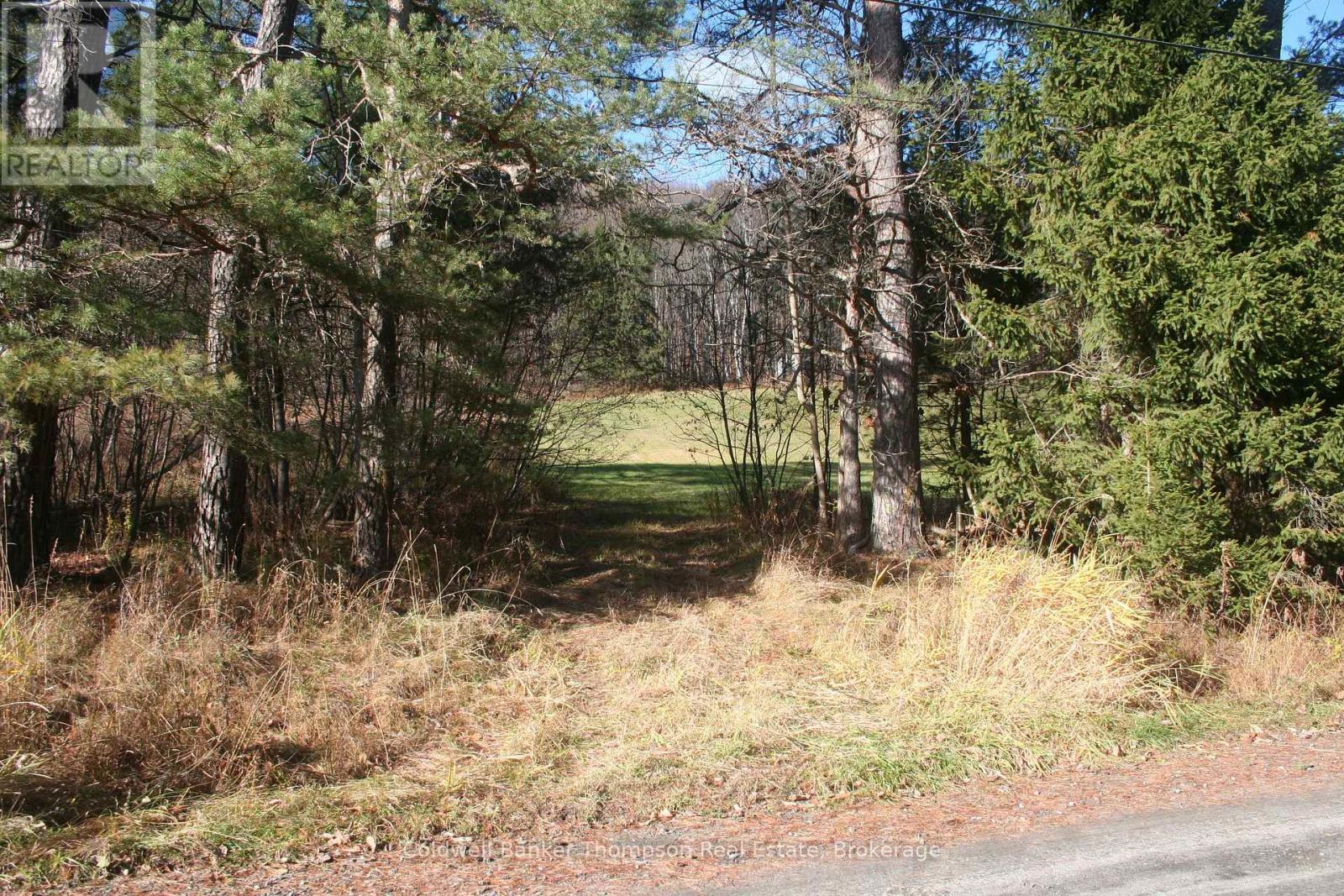 200 Mica Mine Road, Huntsville, Ontario  P1H 1R3 - Photo 6 - X12543072