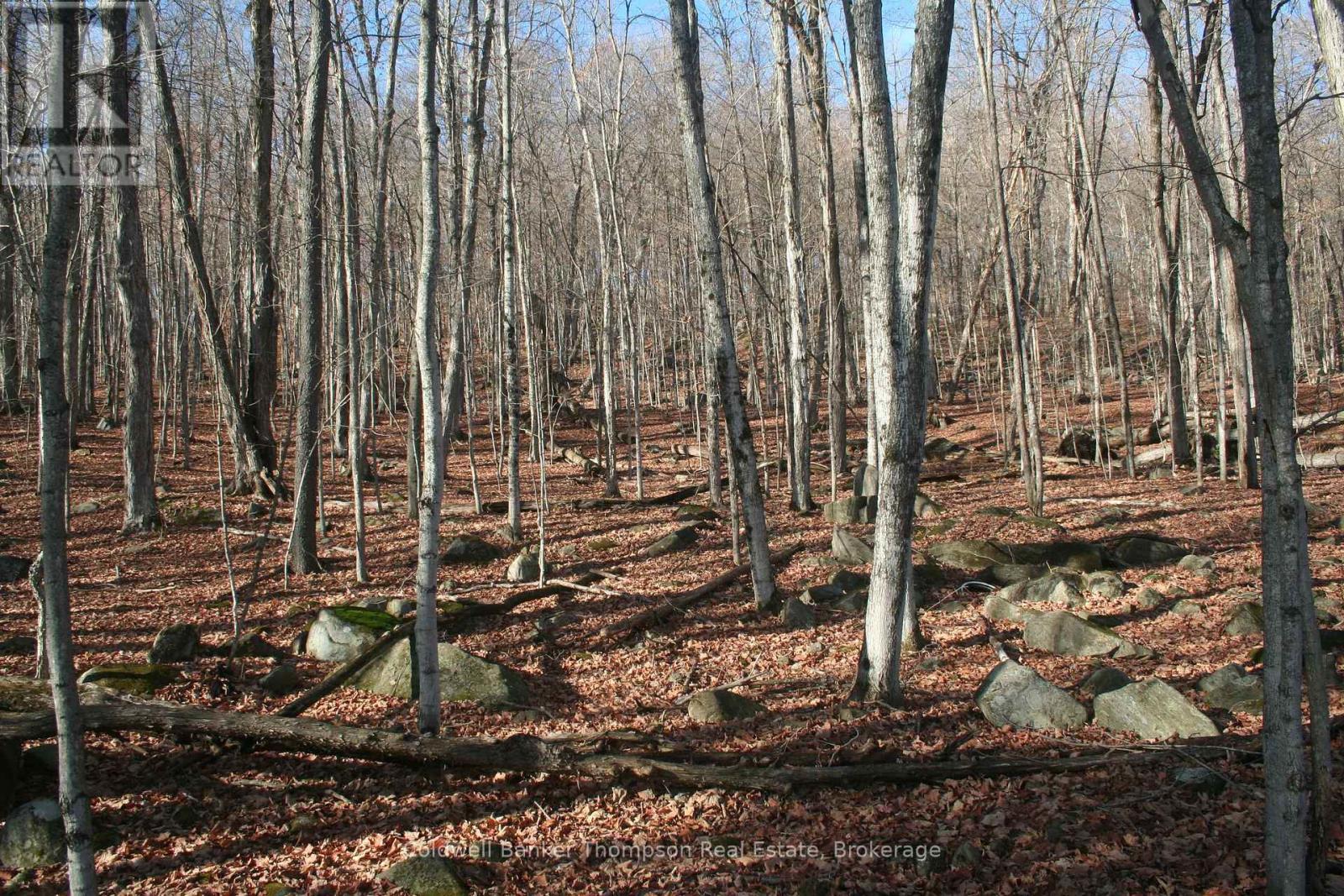 200 Mica Mine Road, Huntsville, Ontario  P1H 1R3 - Photo 8 - X12543072