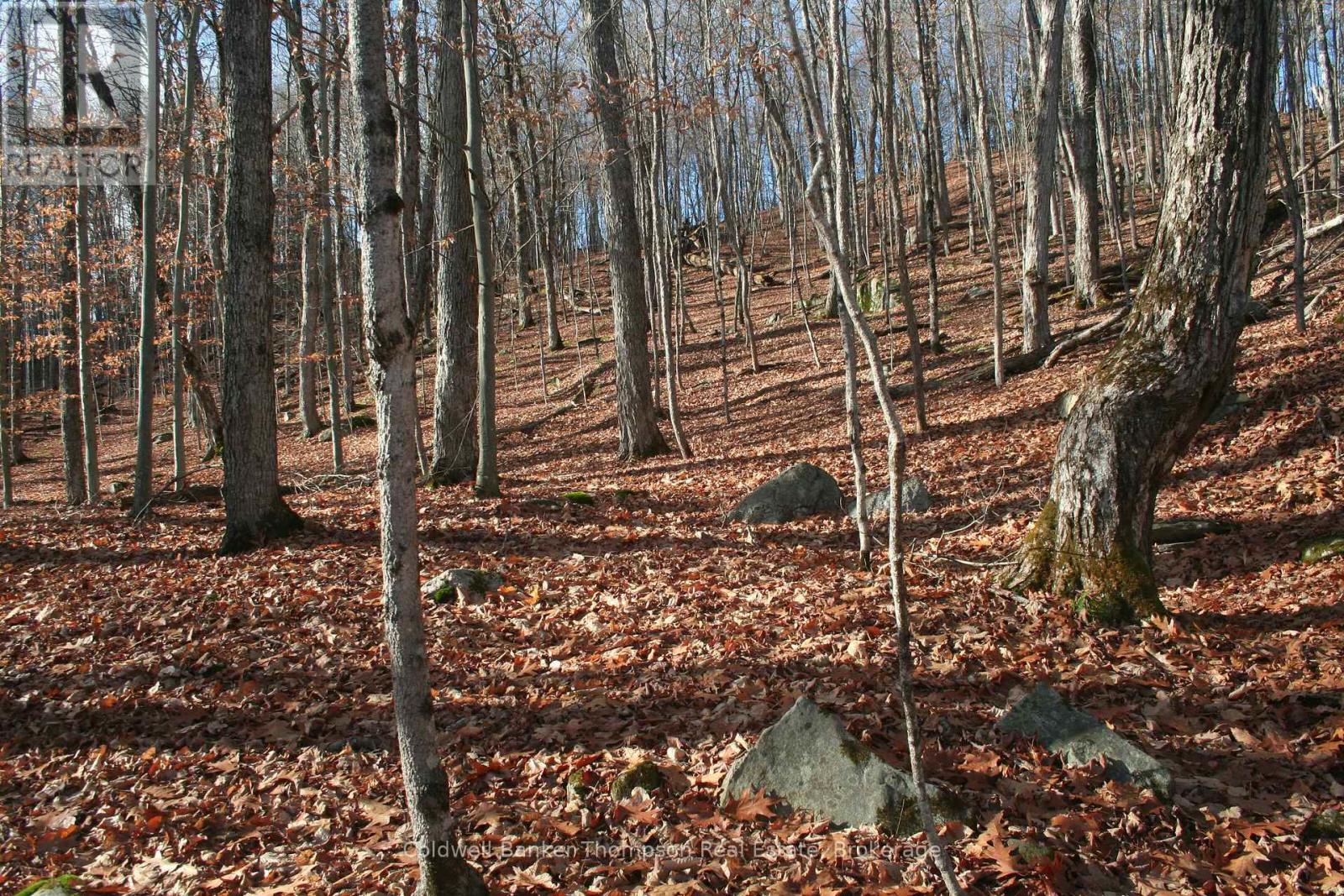 200 Mica Mine Road, Huntsville, Ontario  P1H 1R3 - Photo 9 - X12543072
