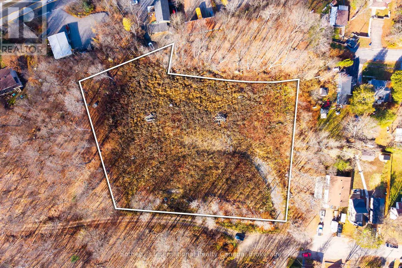 48 West Elliott Street, Huntsville, Ontario  P1H 1W2 - Photo 6 - X12543134