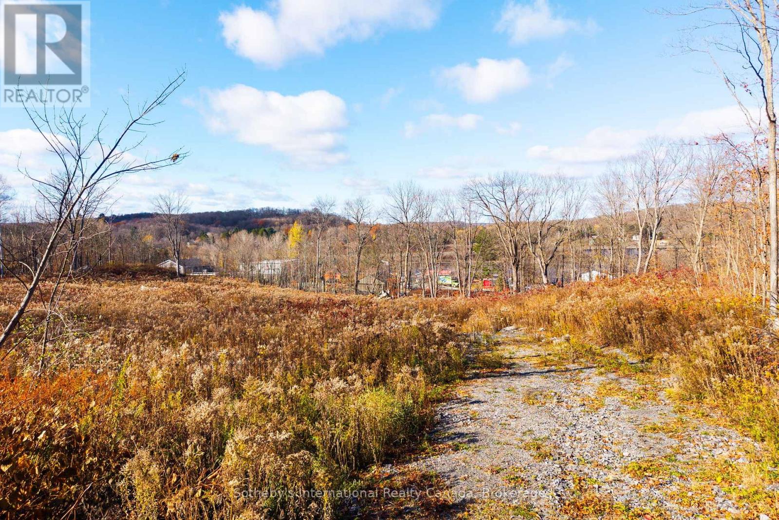 48 West Elliott Street, Huntsville, Ontario  P1H 1W2 - Photo 9 - X12543134