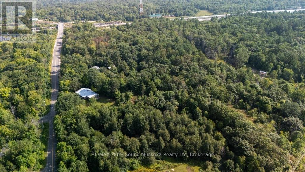 28 Black Road, Seguin, Ontario  P2A 2W8 - Photo 40 - X12545462