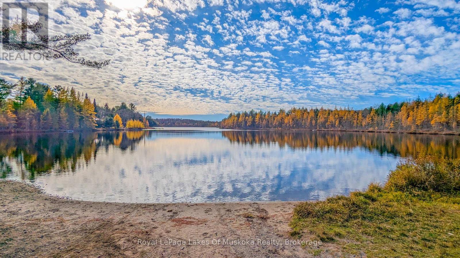 2551 Yearley Road, Huntsville, Ontario  P0B 1M0 - Photo 31 - X12546718