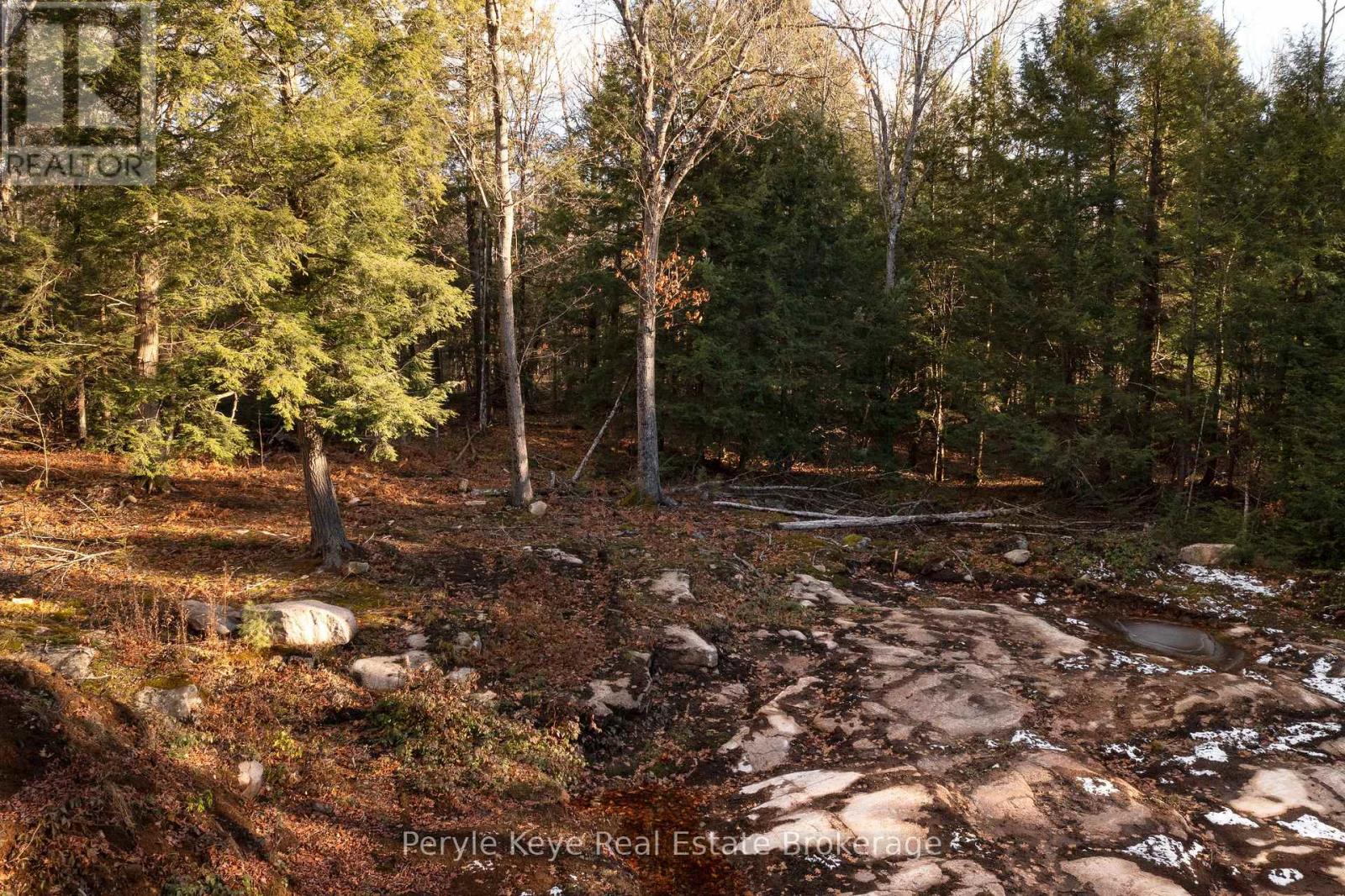 1259 Germania Road, Bracebridge, Ontario  P1P 1R3 - Photo 12 - X12553918