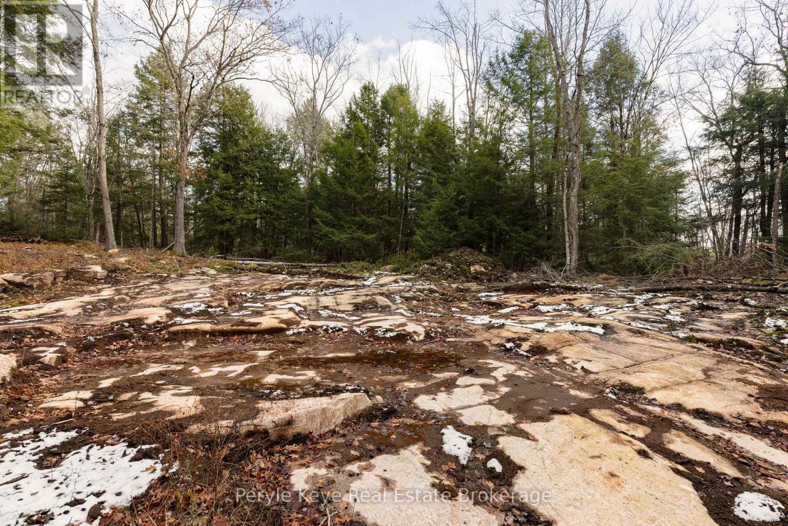 1259 Germania Road, Bracebridge, Ontario  P1P 1R3 - Photo 27 - X12553918