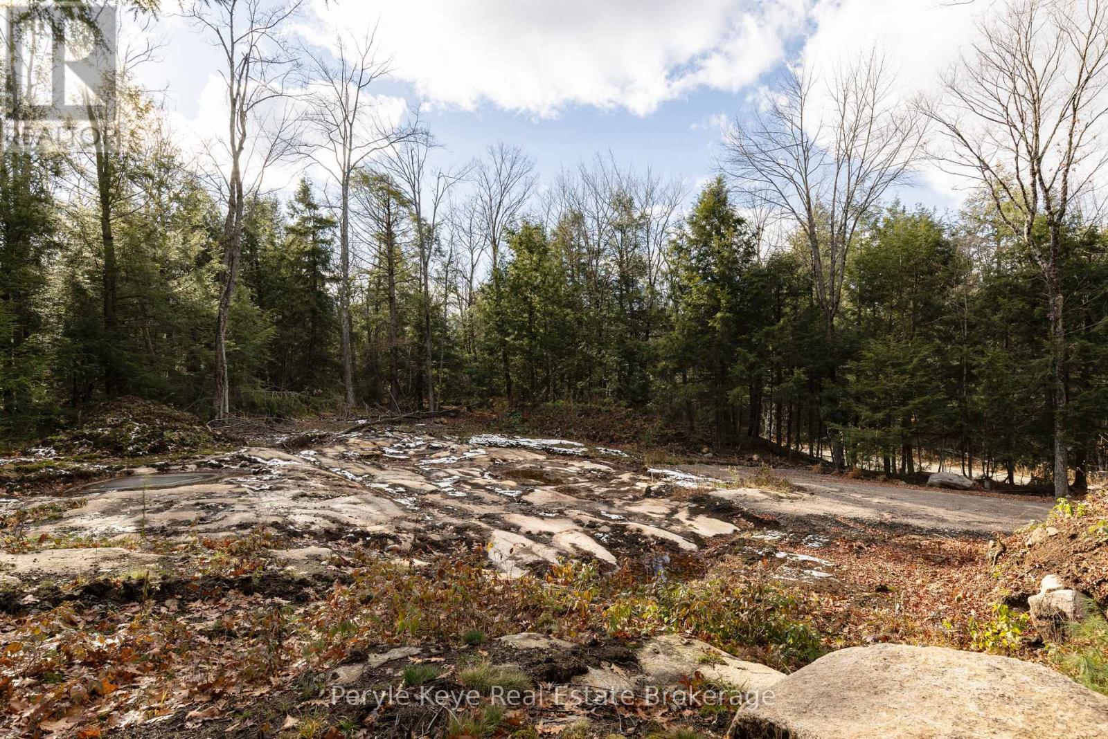 1259 Germania Road, Bracebridge, Ontario  P1P 1R3 - Photo 28 - X12553918